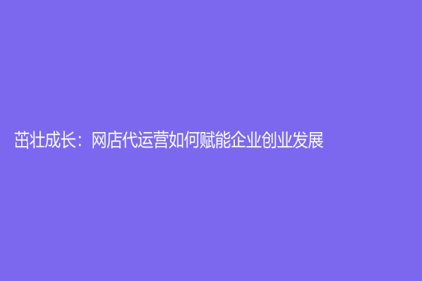 茁壮成长：网店代运营如何赋能企业创业发展