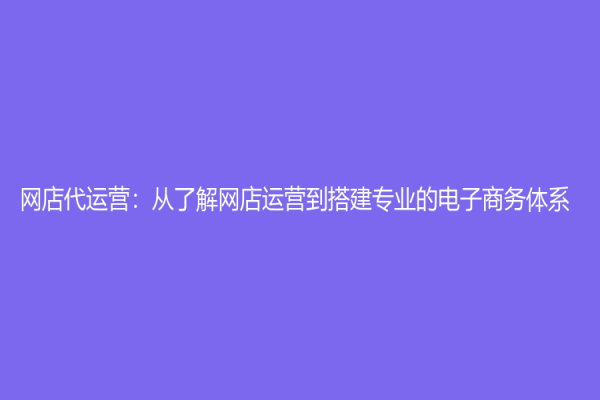网店代运营：从了解网店运营到搭建专业的电子商务体系