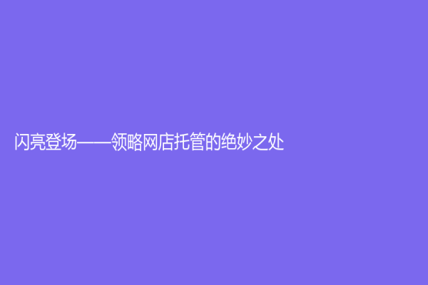 闪亮登场——领略网店托管的绝妙之处