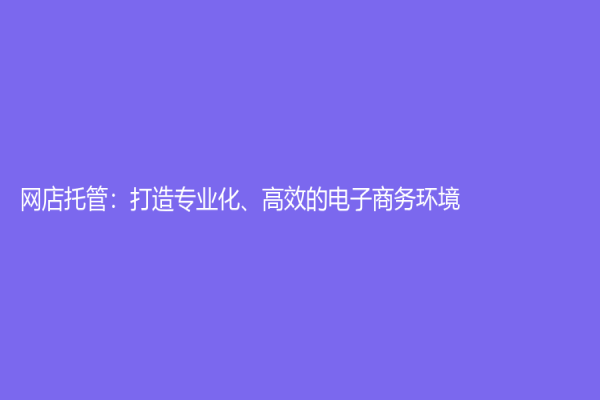 网店托管：打造专业化、高效的电子商务环境