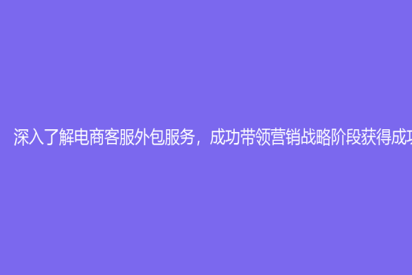 深入了解电商客服外包服务，成功带领营销战略阶段获得成功