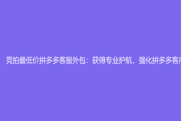 竞拍最低价拼多多客服外包：获得专业护航，强化拼多多客户体验