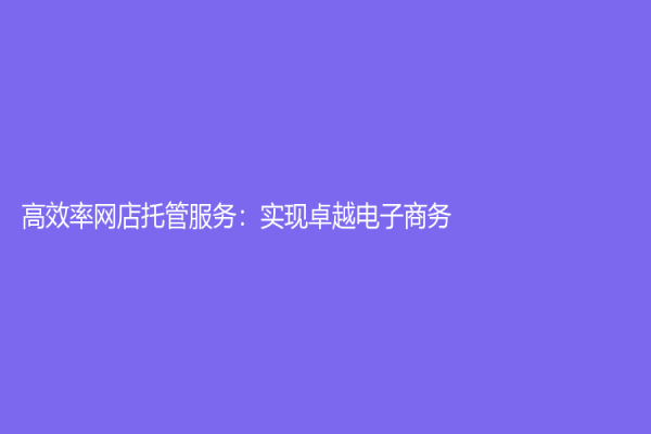高效率网店托管服务：实现卓越电子商务