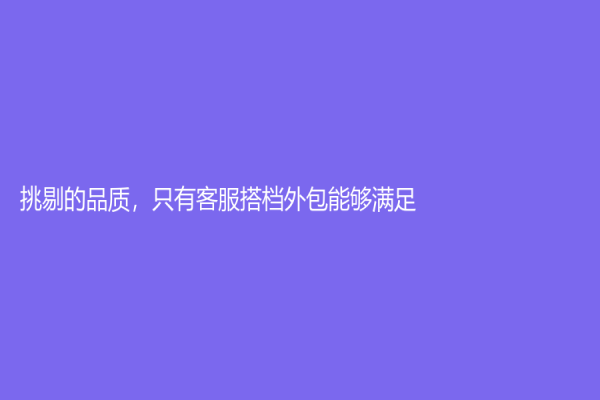 挑剔的品质，只有客服搭档外包能够满足！