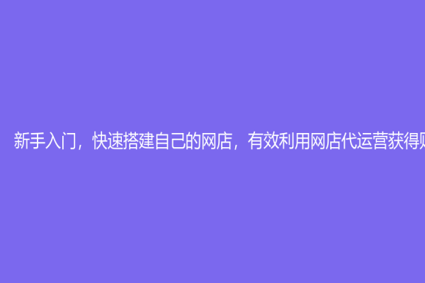 新手入门，快速搭建自己的网店，有效利用网店代运营获得财务自由